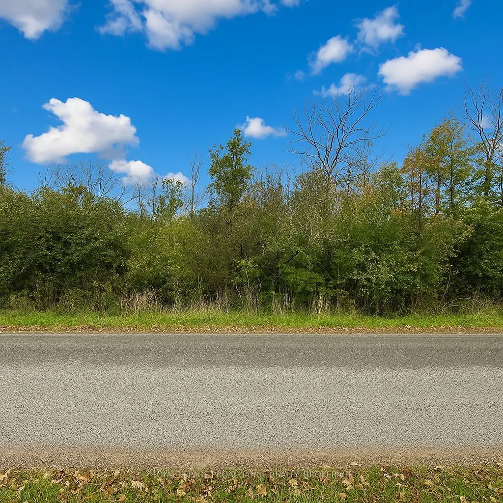 Lot 15 Martin Drive (Lot)