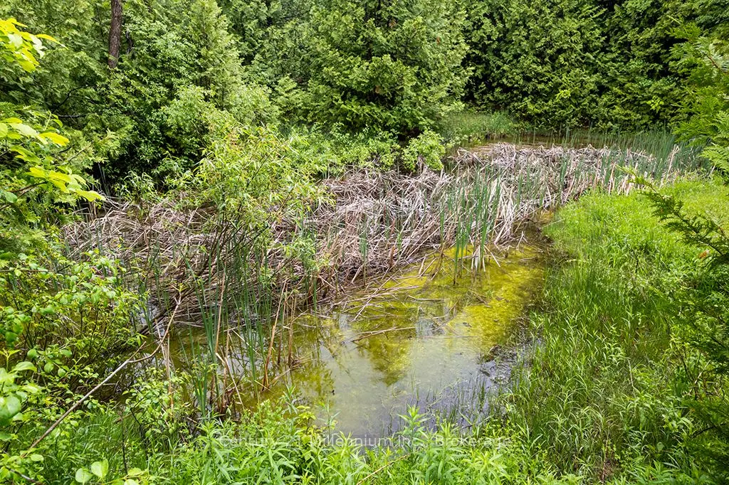 245650 22 Side Road