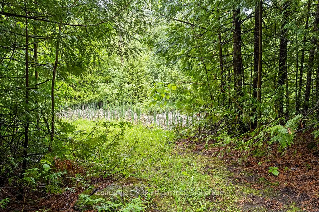 245650 22 Side Road
