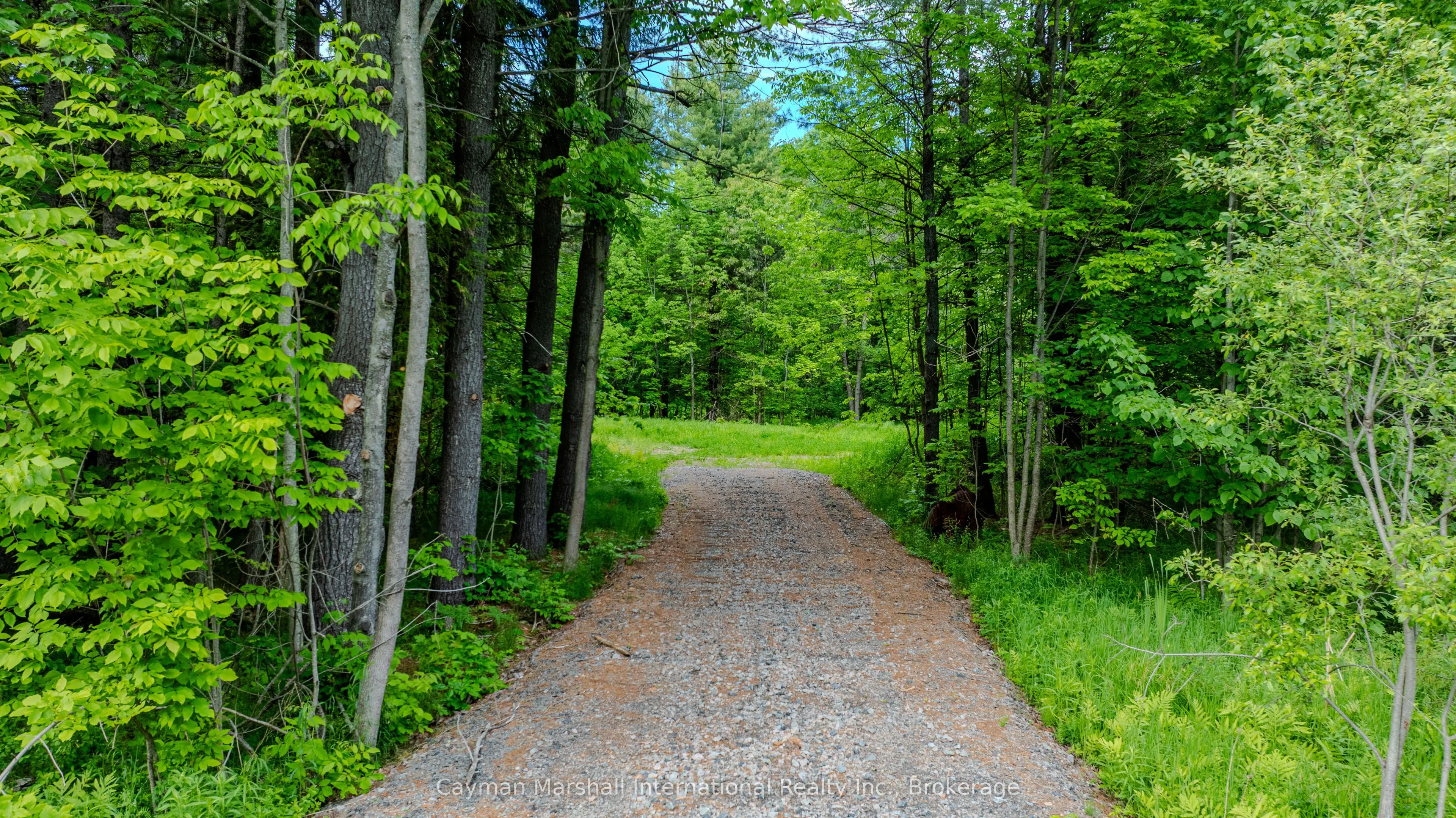 2682 Muskoka District 118 Road W