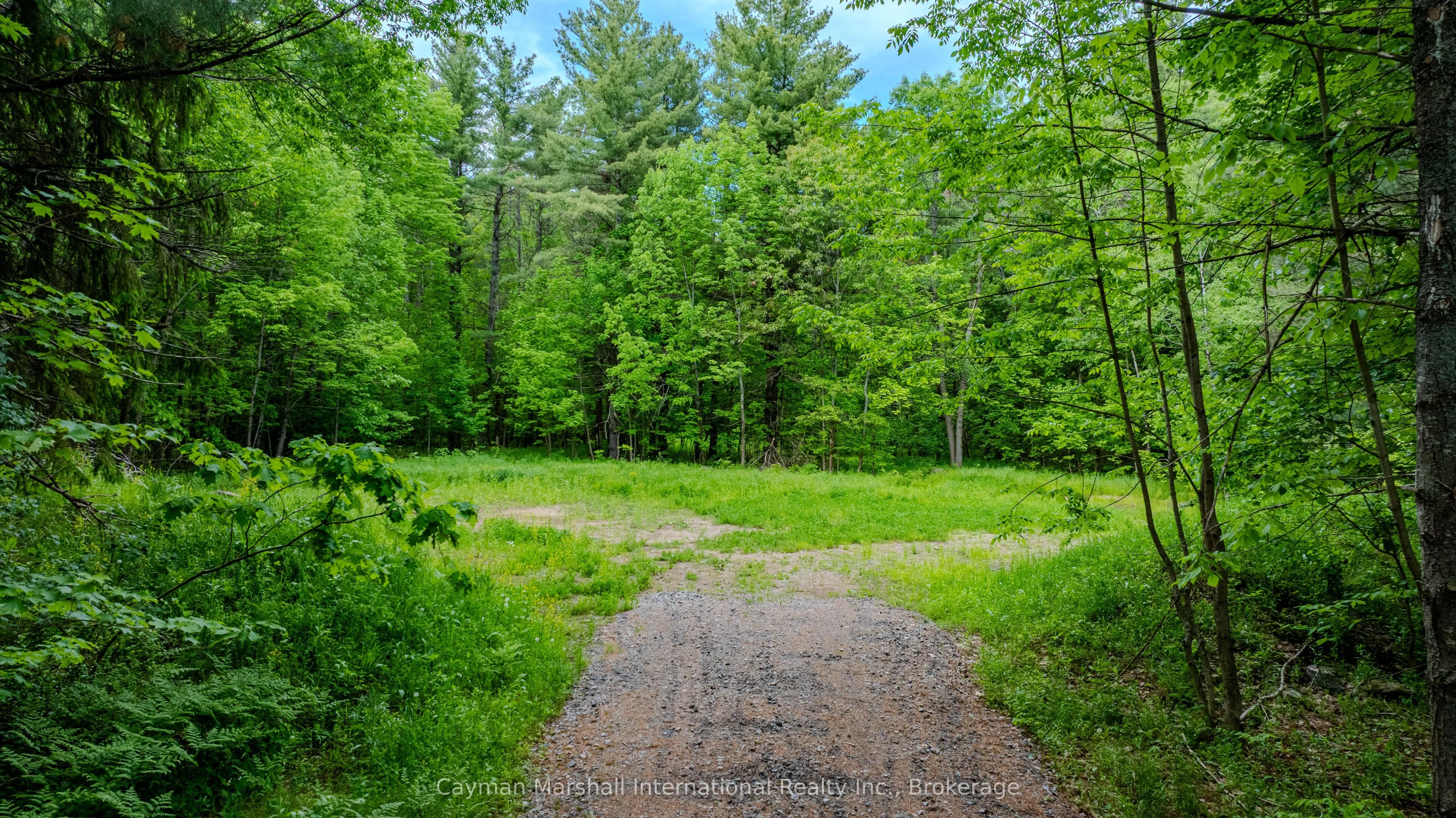2682 Muskoka District 118 Road W