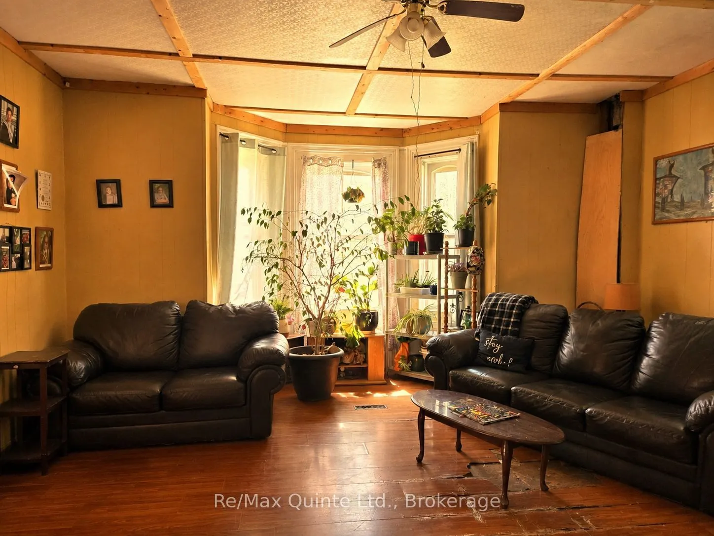 10 Declair Road
