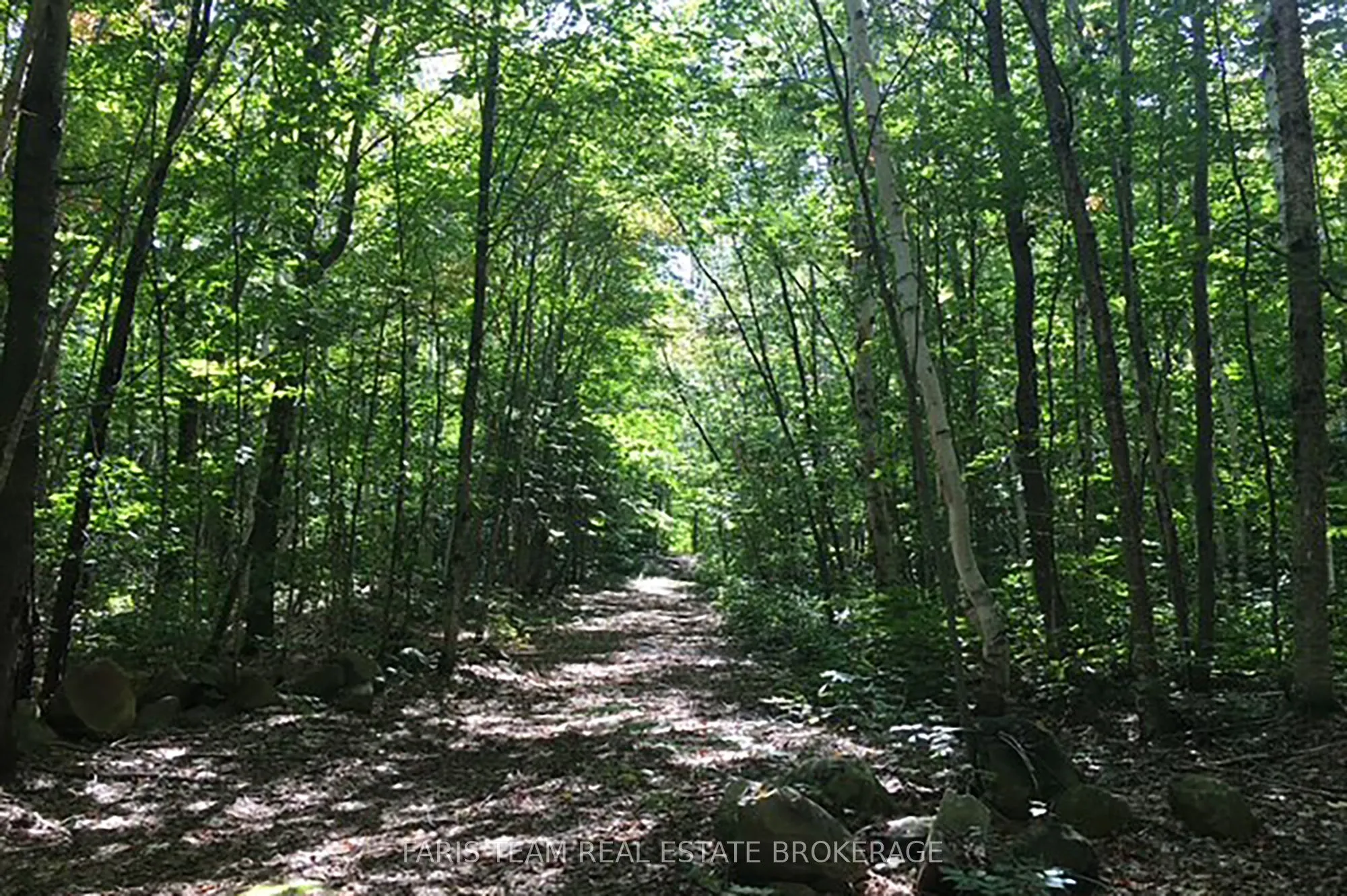 2180-2186 Highway 141