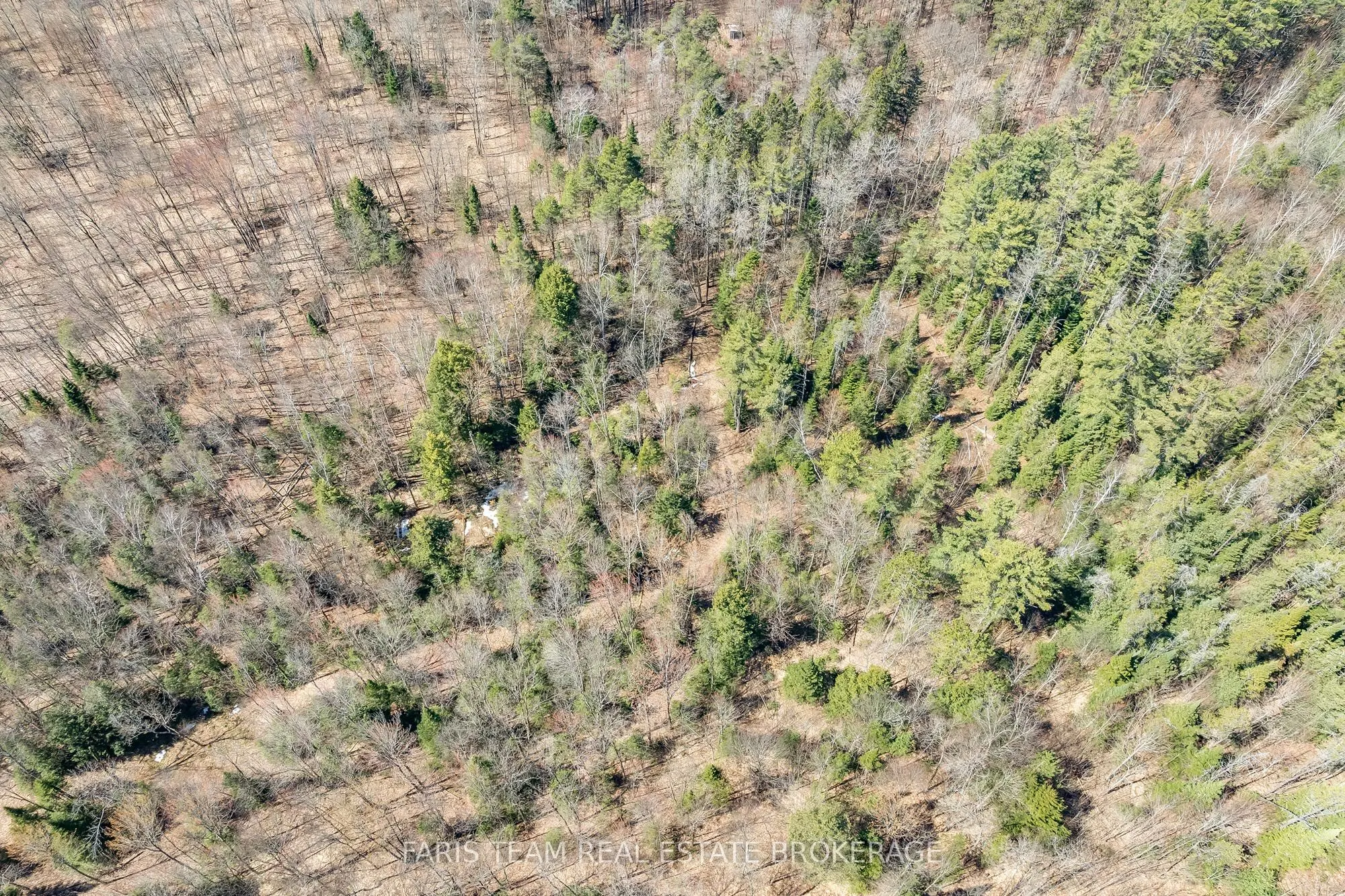 2180-2186 Highway 141