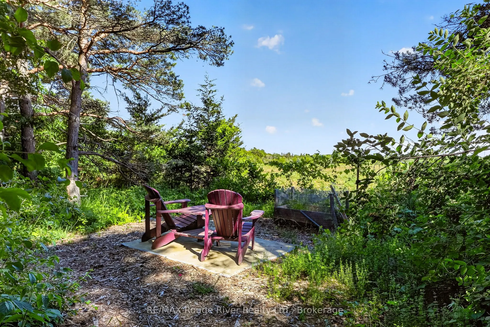 149 Pine Tree Lane