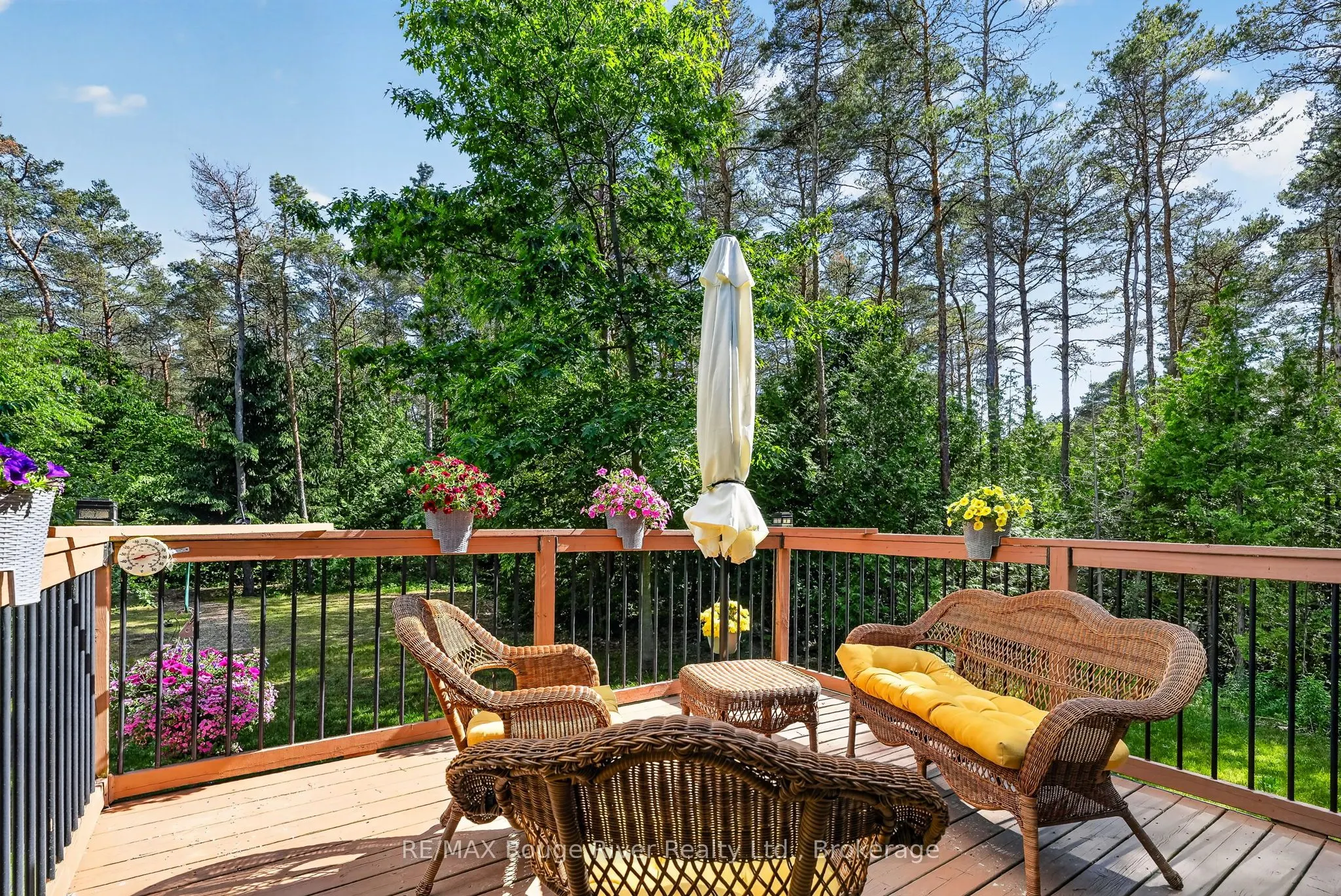 149 Pine Tree Lane