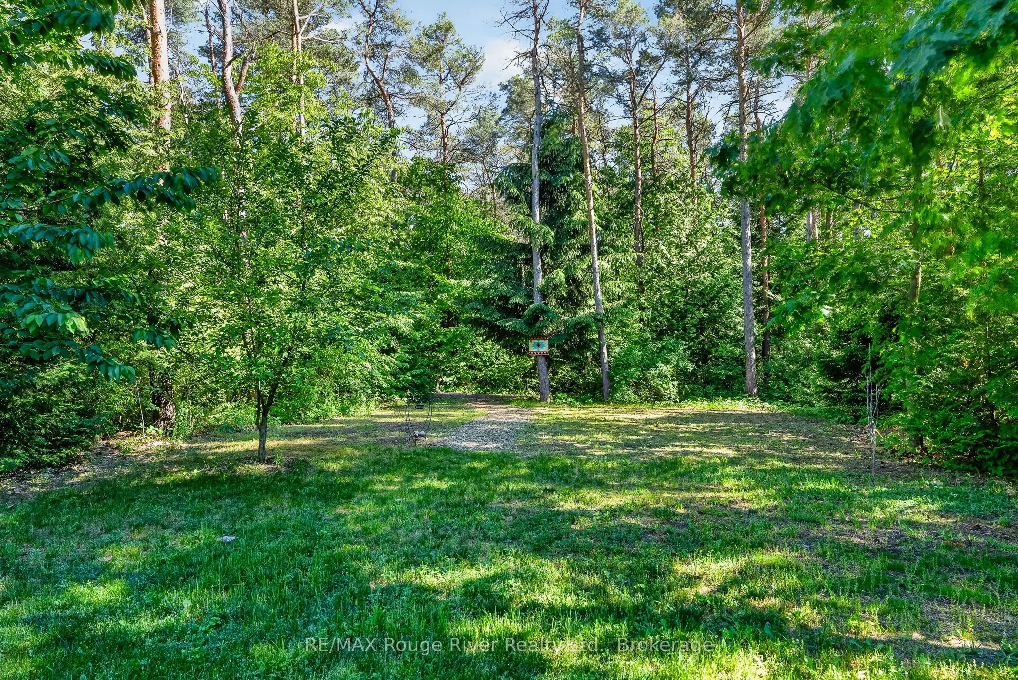 149 Pine Tree Lane