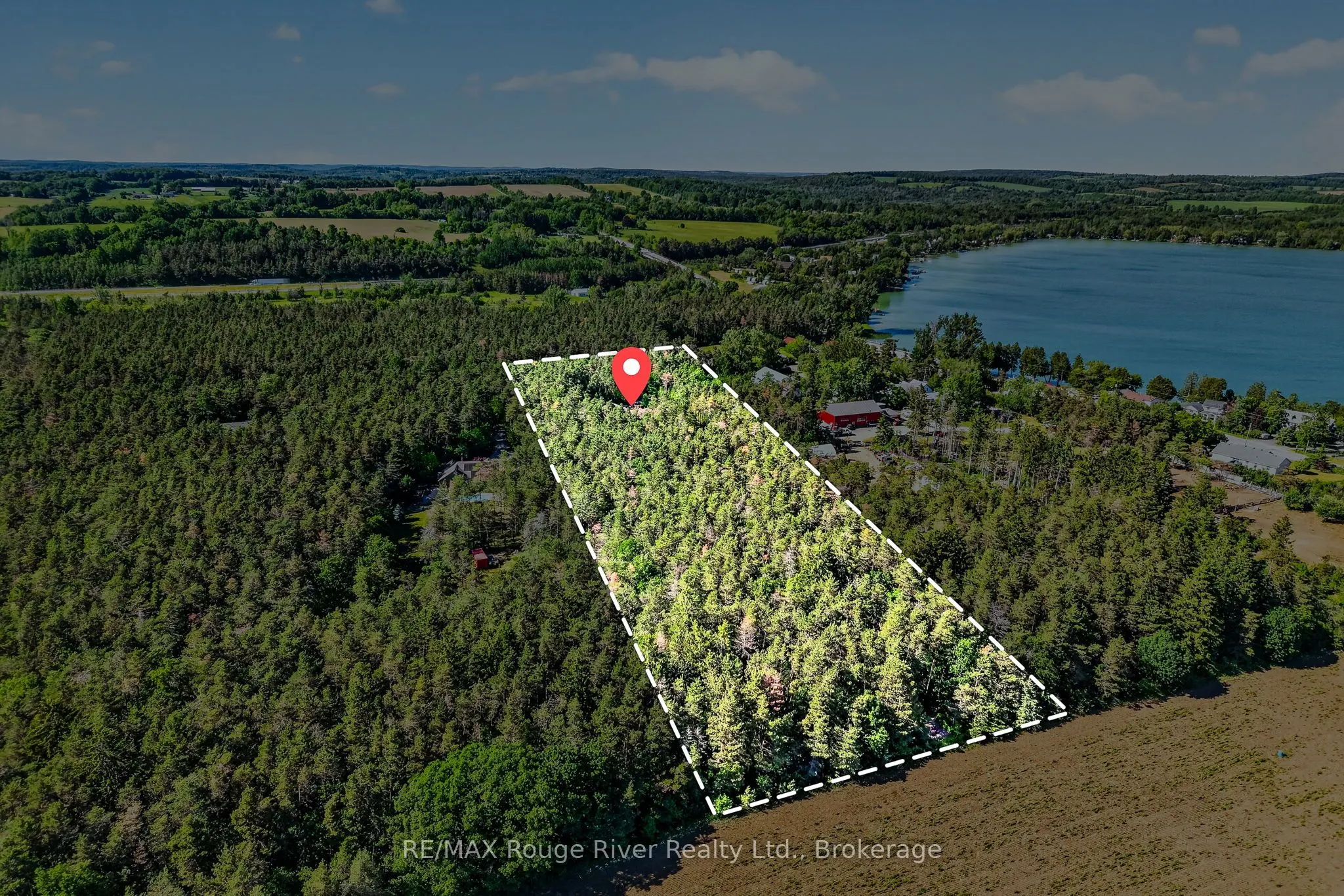 149 Pine Tree Lane