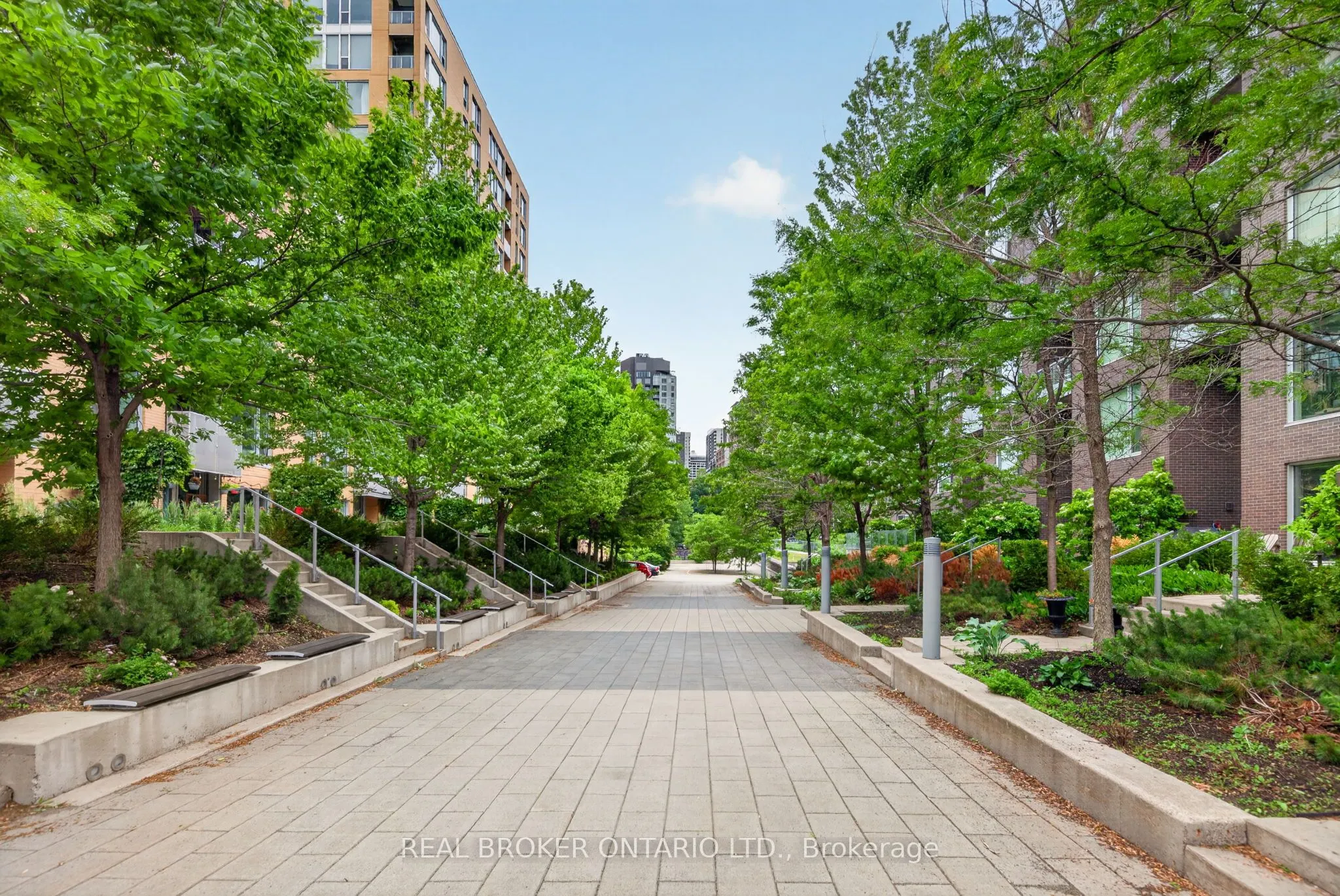 300 B Lett Street #317
