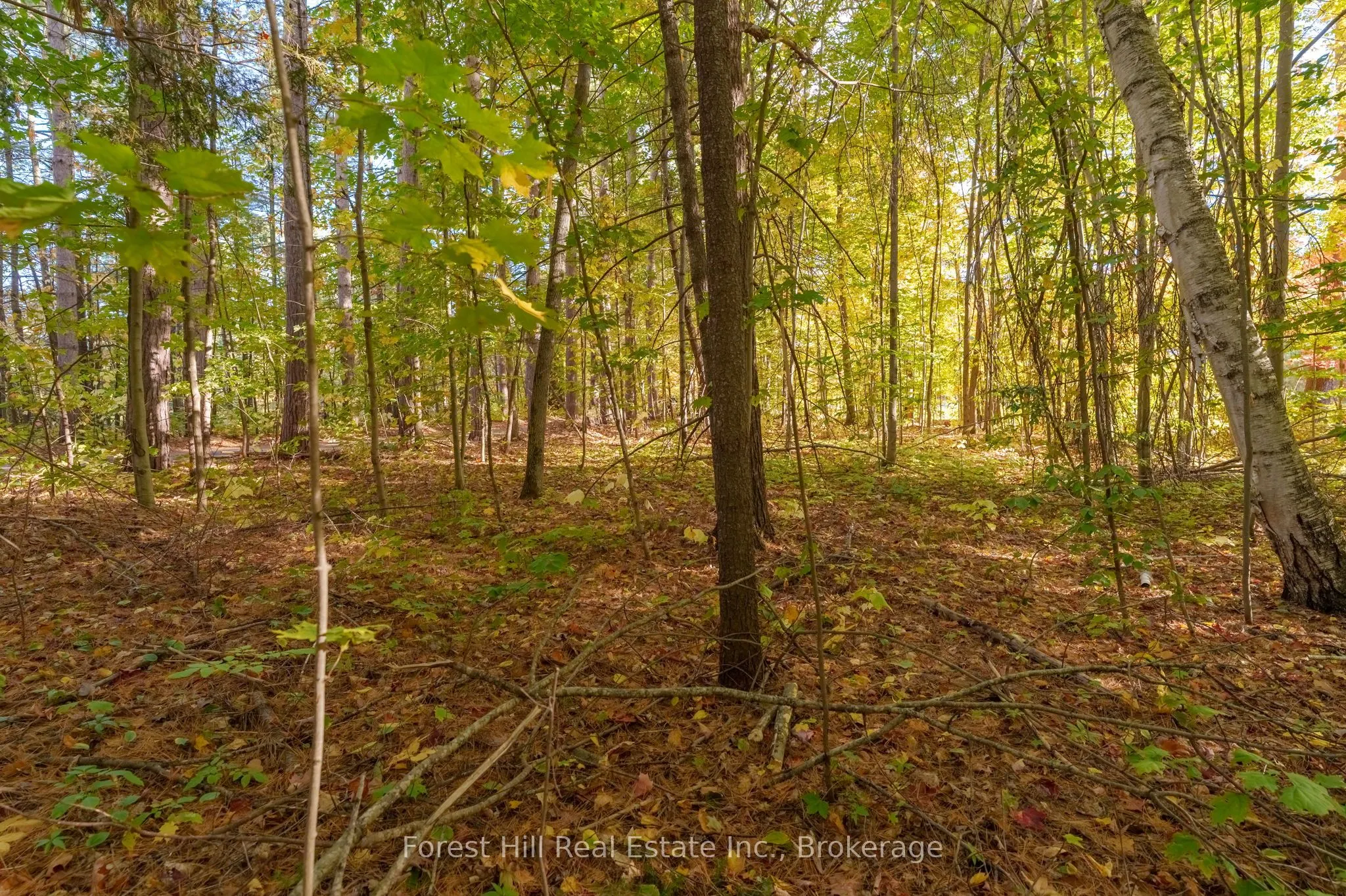 3864 Highway 118 W