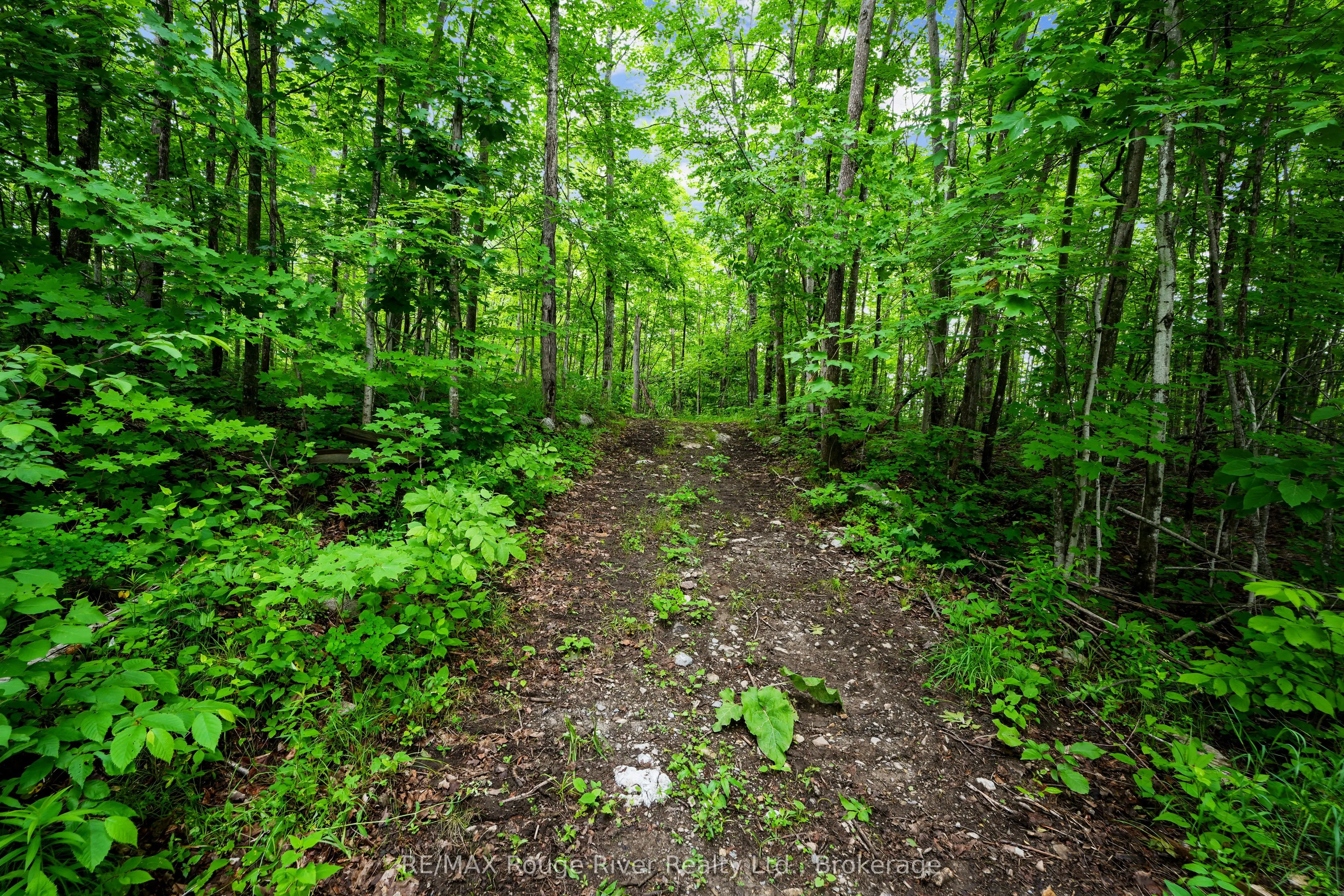 559 County Road 47 Road N