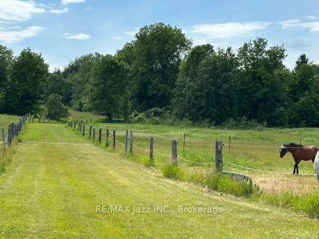 224 Christiani Road