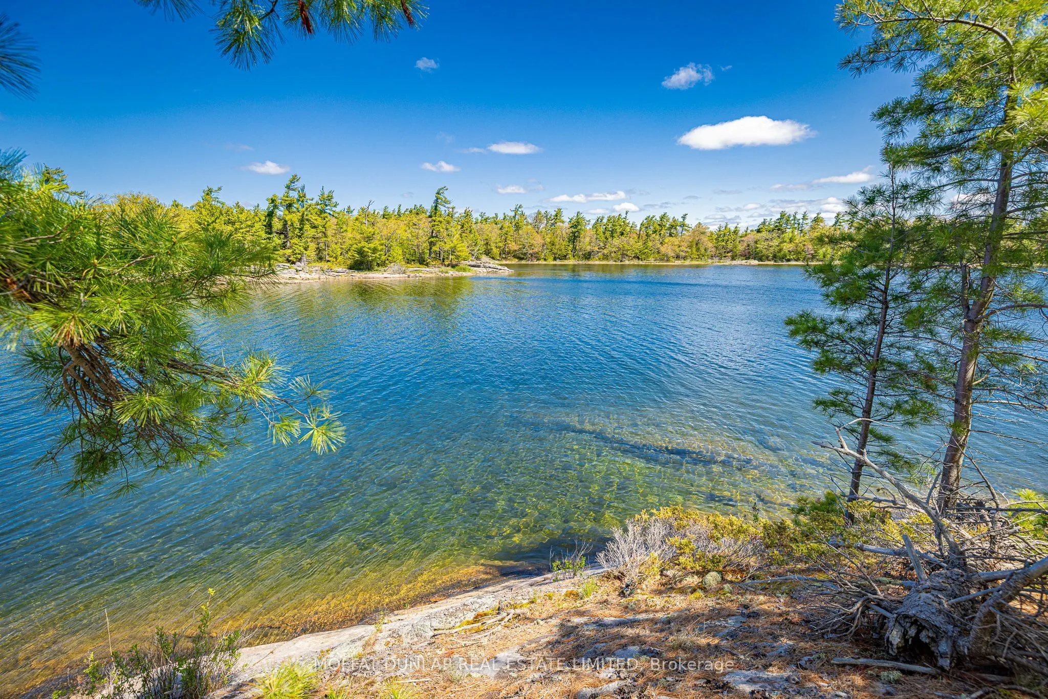 41928 Georgian Bay Shore