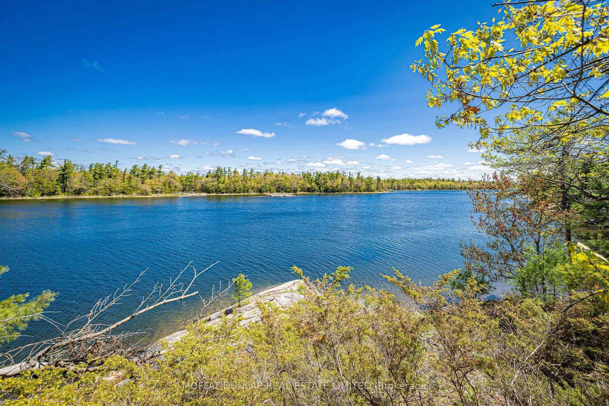 41928 Georgian Bay Shore
