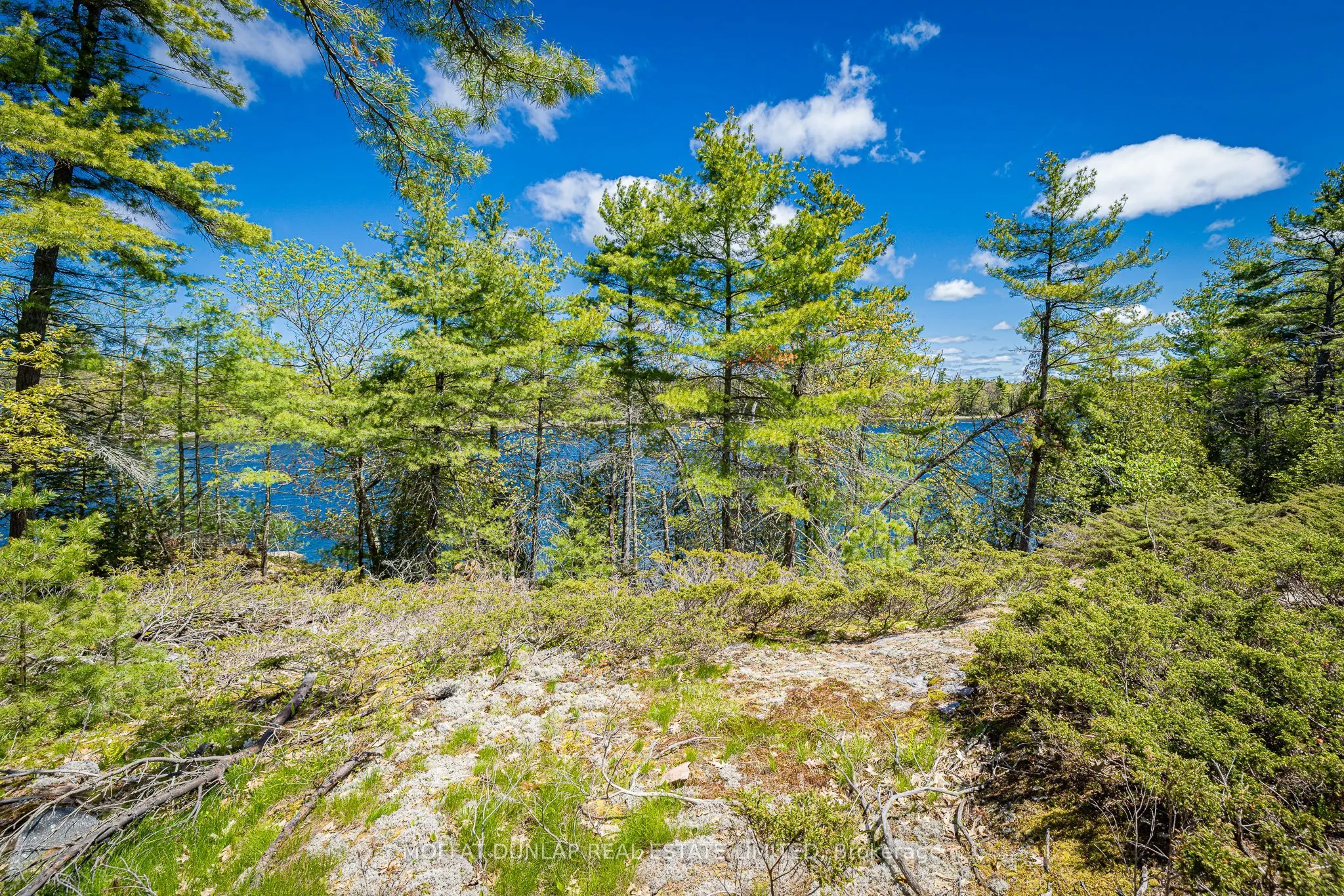 41928 Georgian Bay Shore