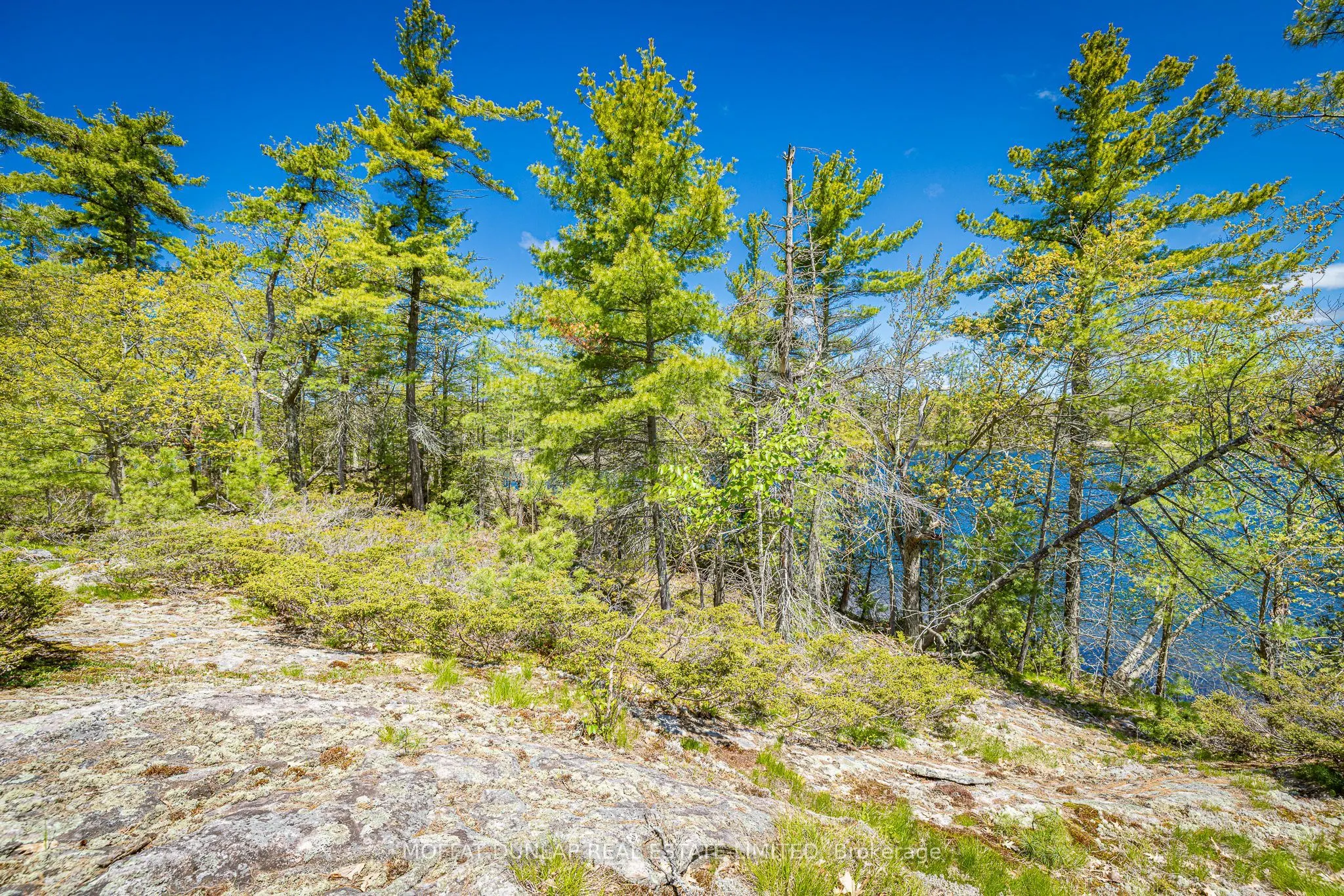 41928 Georgian Bay Shore