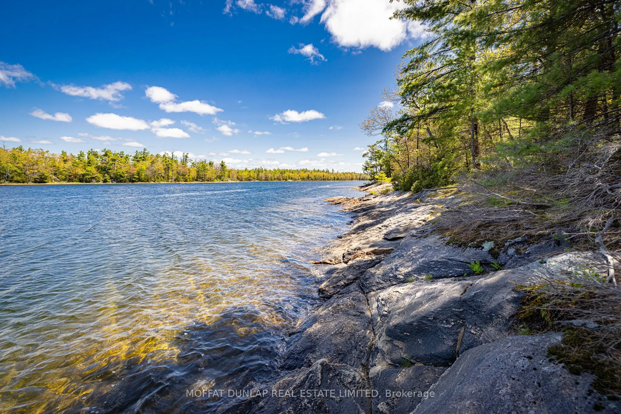 41928 Georgian Bay Shore