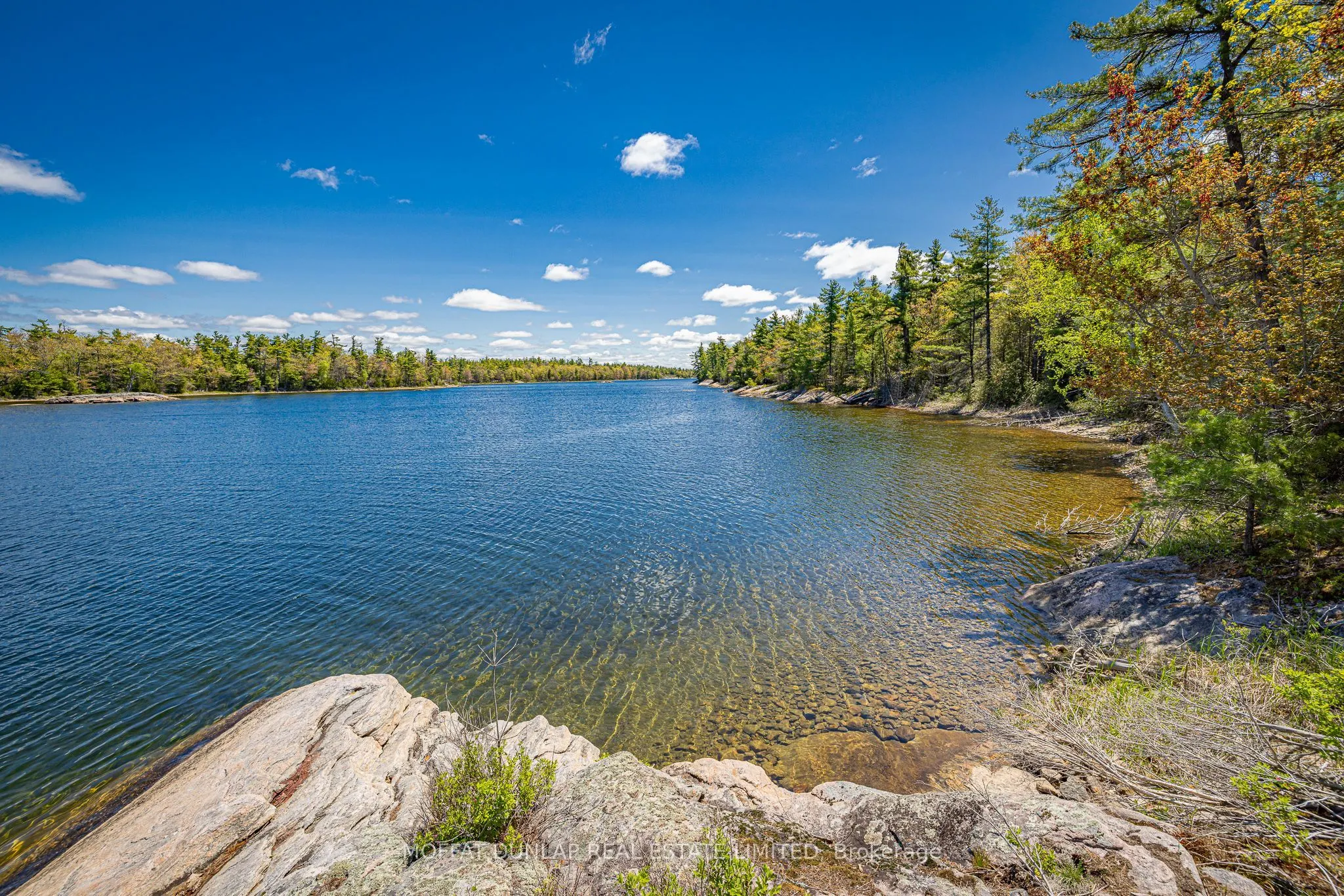 41928 Georgian Bay Shore