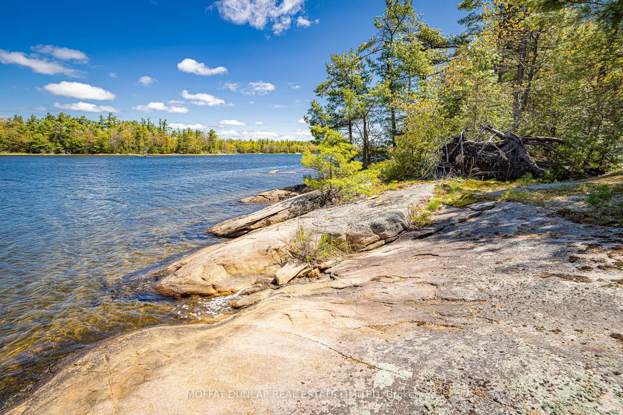 41928 Georgian Bay Shore