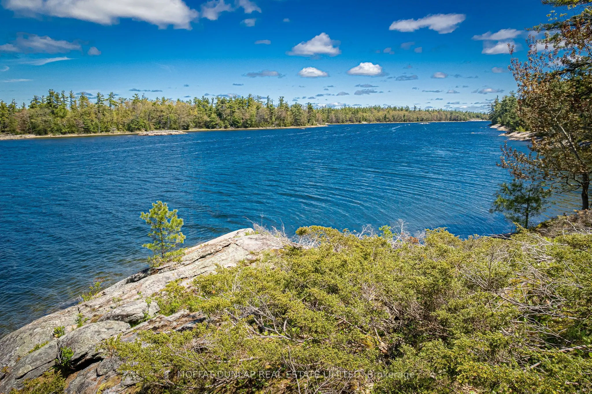 41928 Georgian Bay Shore
