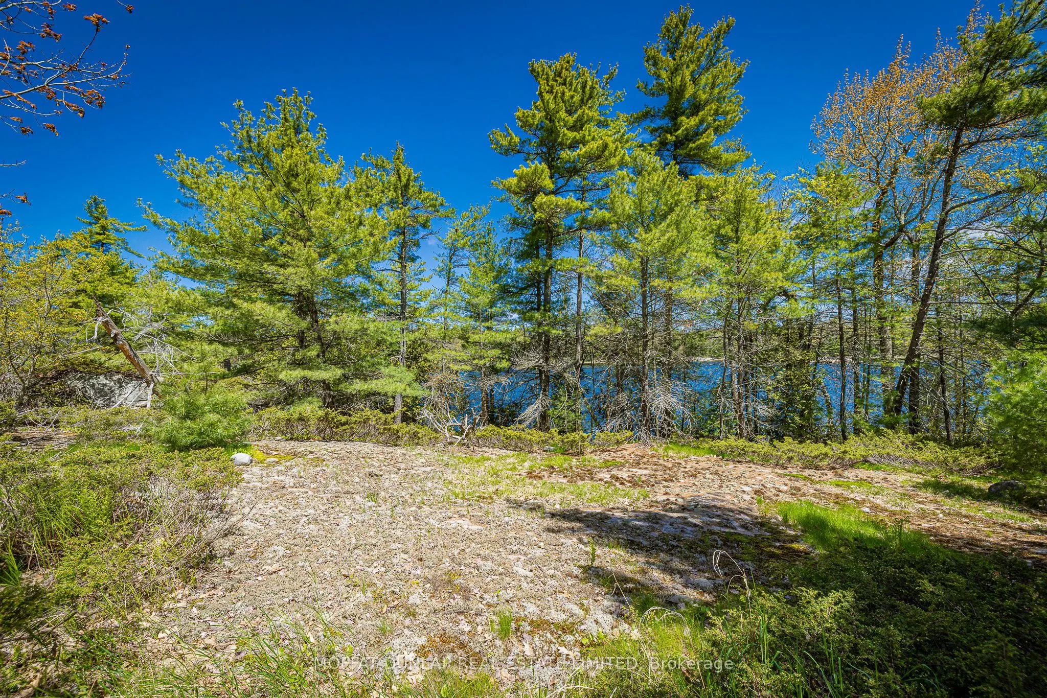 41928 Georgian Bay Shore