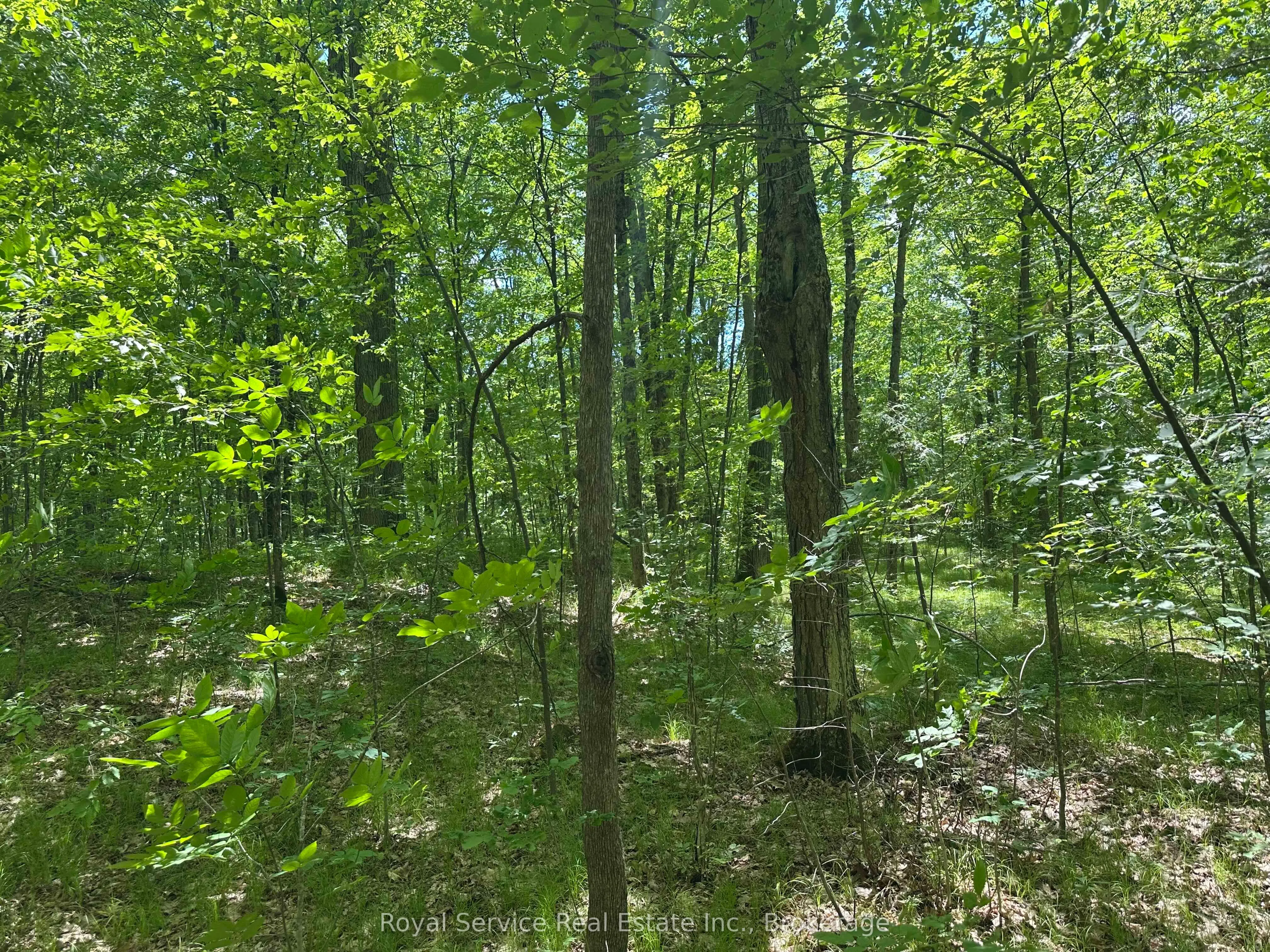 1794 springbrook Road