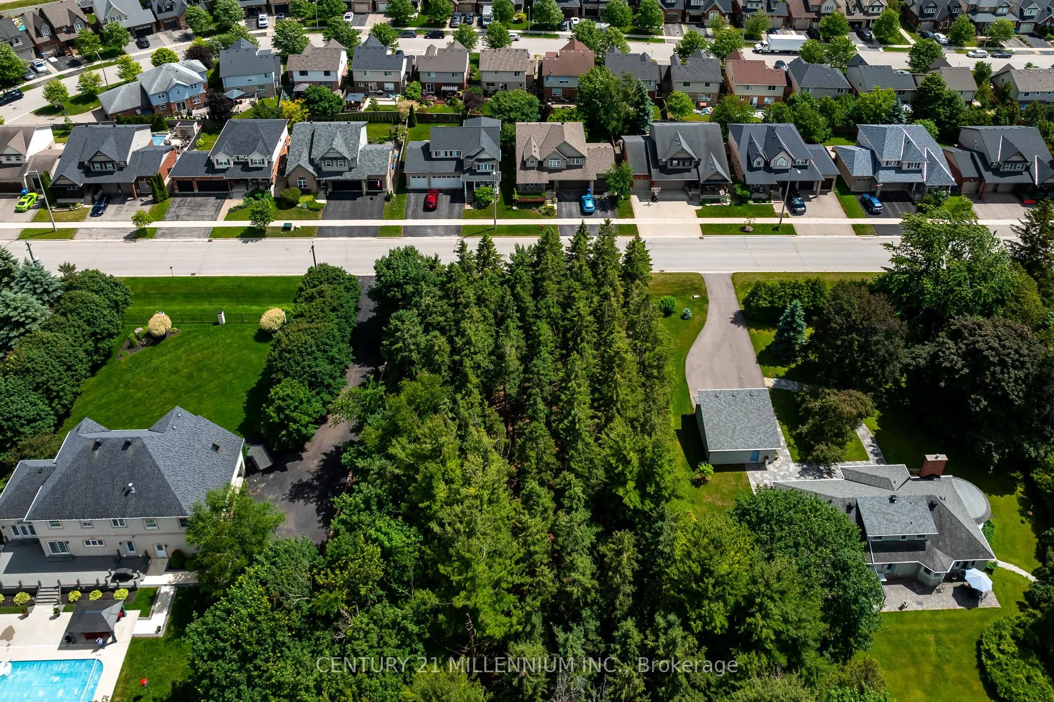 24 Buena Vista Drive