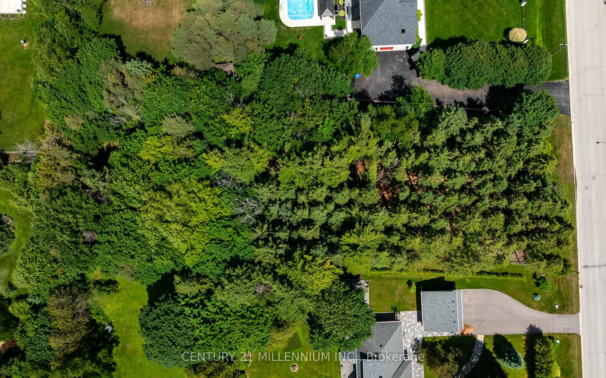 24 Buena Vista Drive