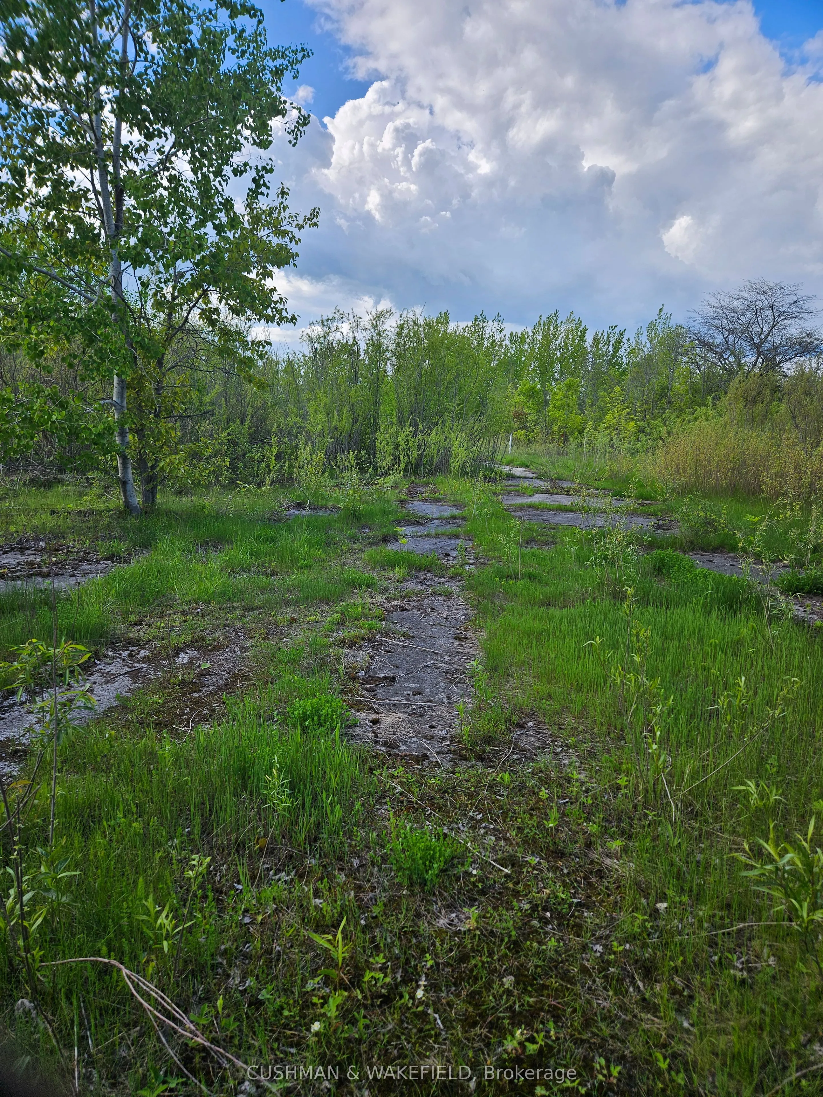 Dale Road