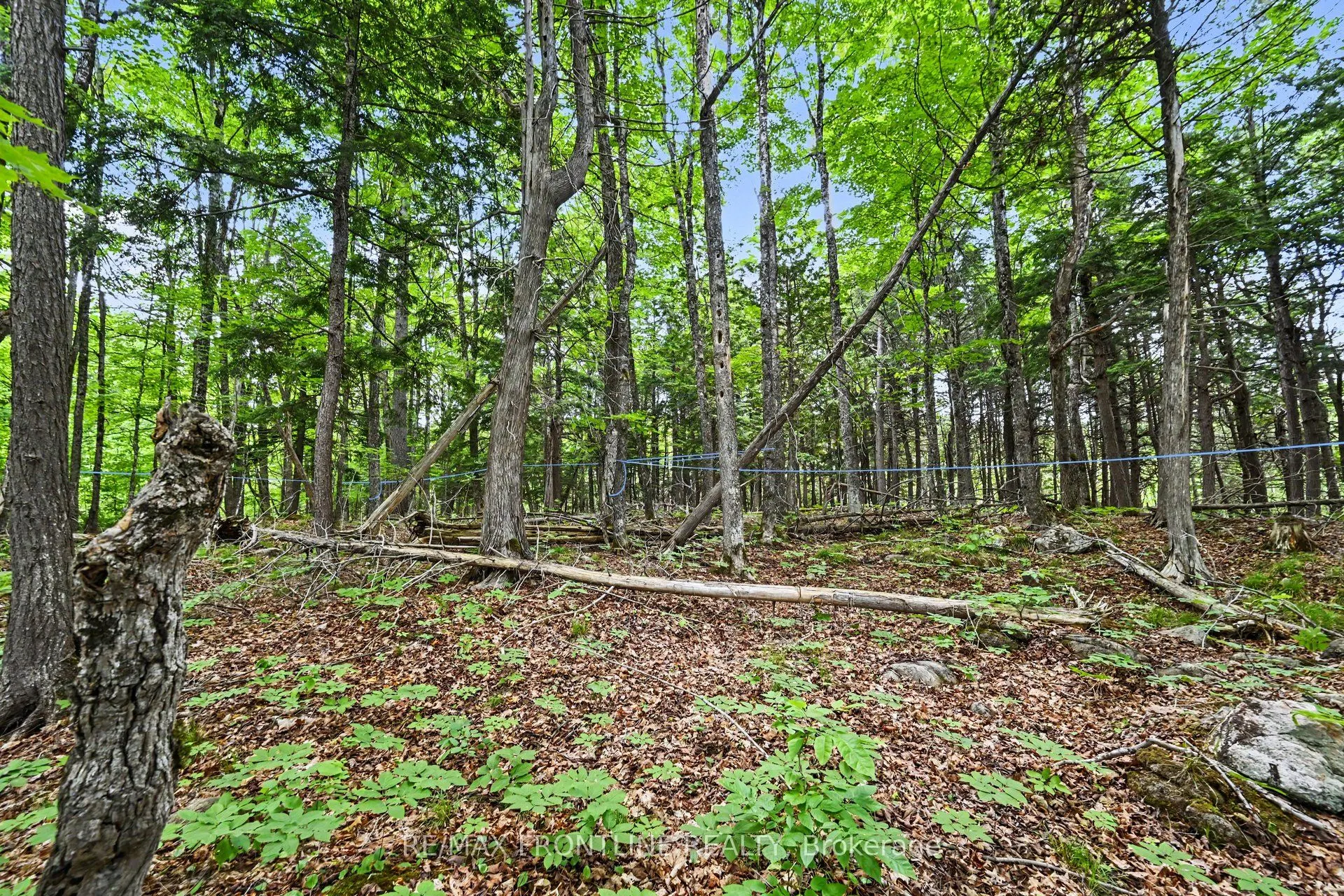 634 Concession 5A Dalhousie
