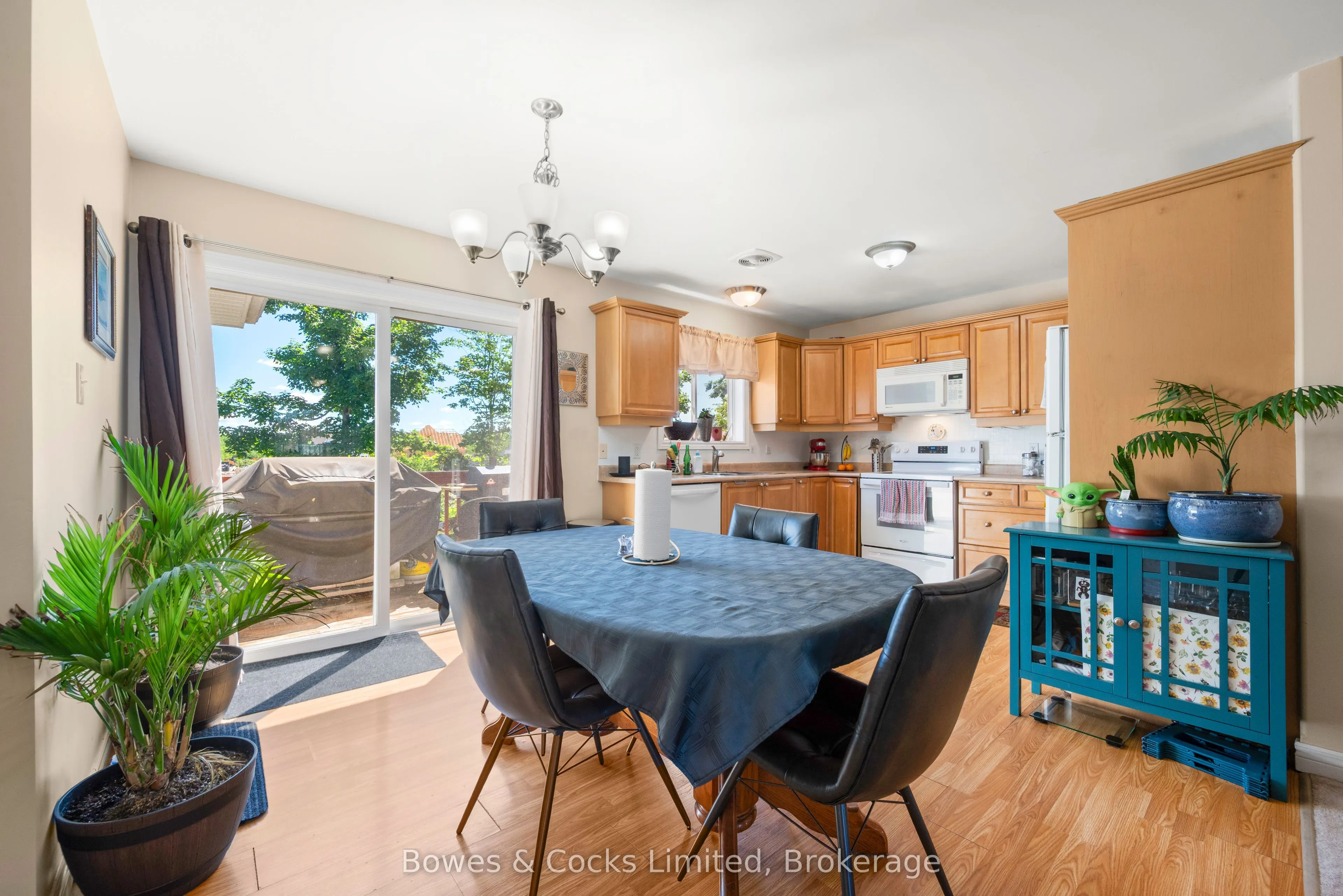 59 Birch Crescent