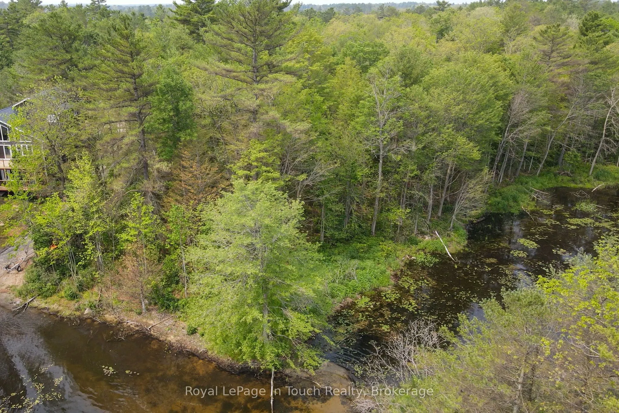 12544 Georgian Bay Shore