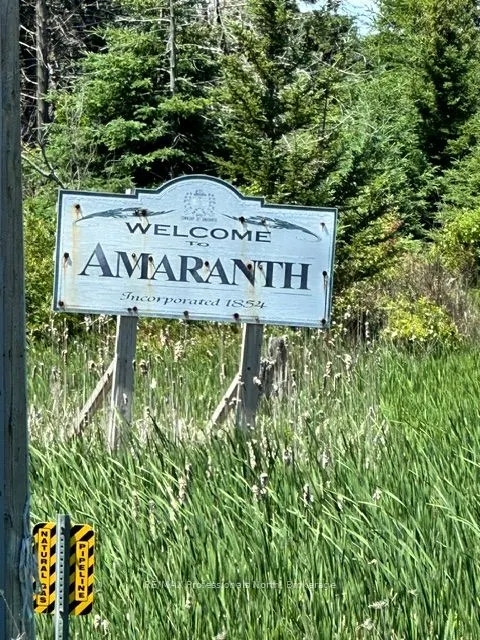 555463 Mono-Amaranth Townline