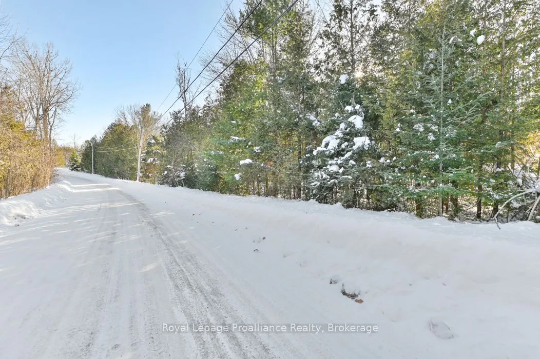 0 Swinburne Lane