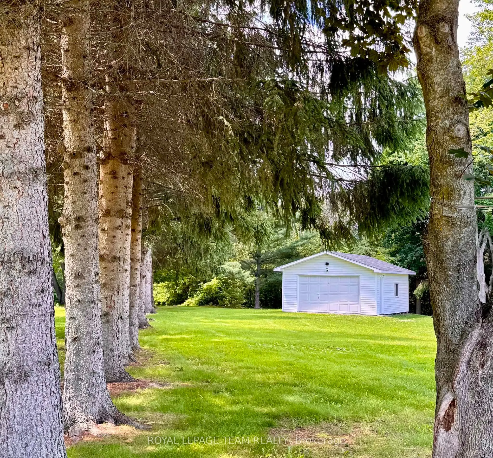 17 MARIC Trail