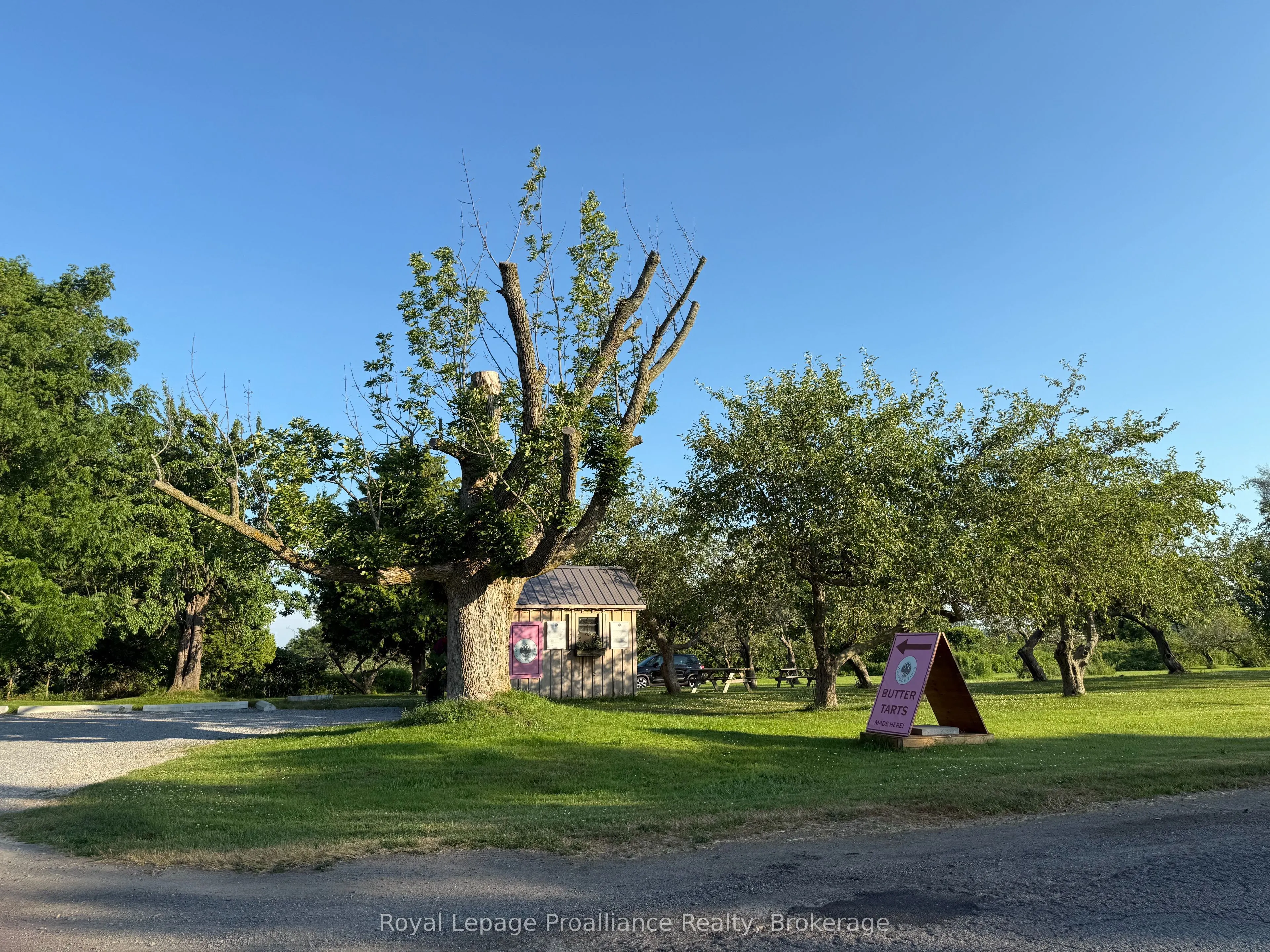00 County Road 8