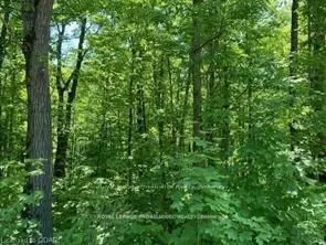 Lot 31 River Heights Road