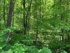 Lot 31 River Heights Road