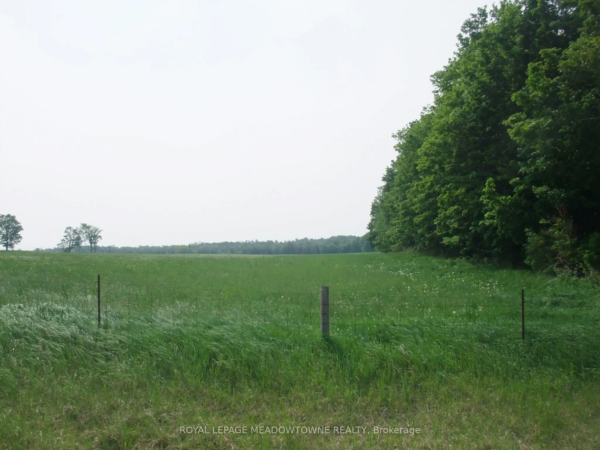 8949 Wellington Rd 22