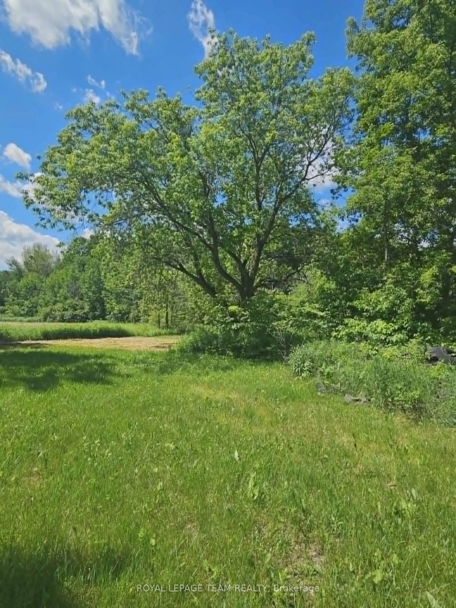 21896 Concession Road 10 Road
