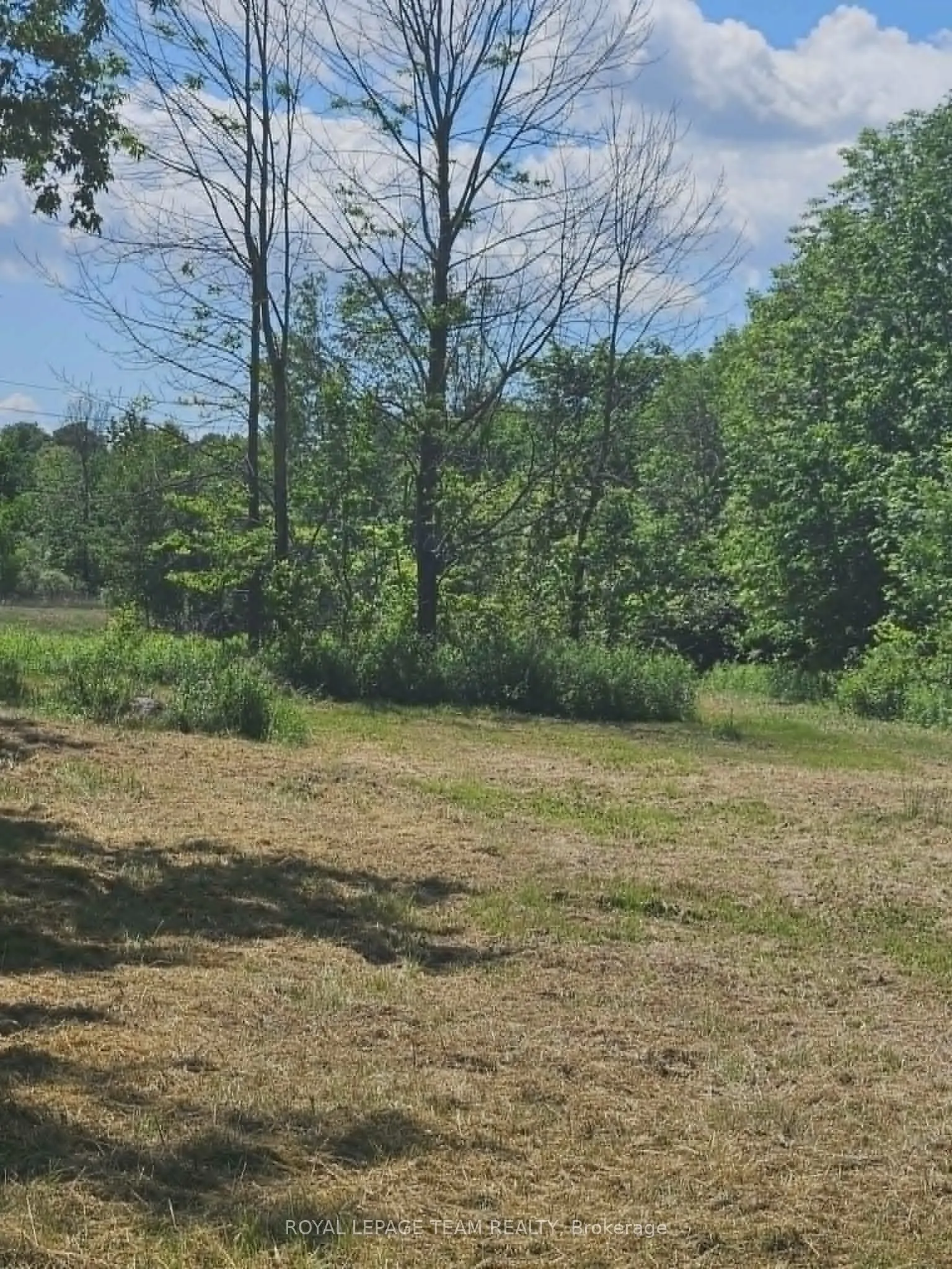 21896 Concession Road 10 Road