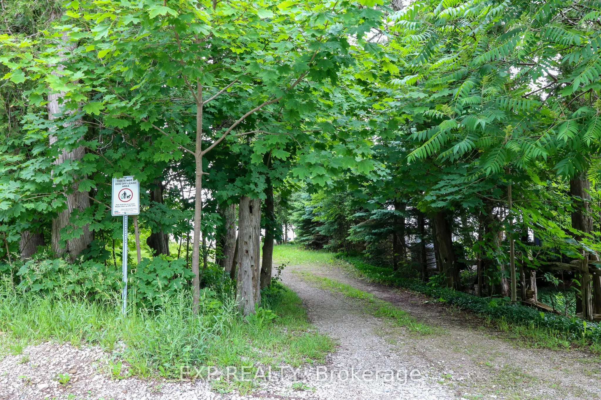 360 Cedar Avenue