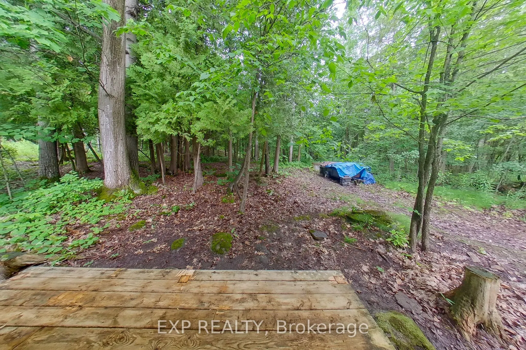 360 Cedar Avenue