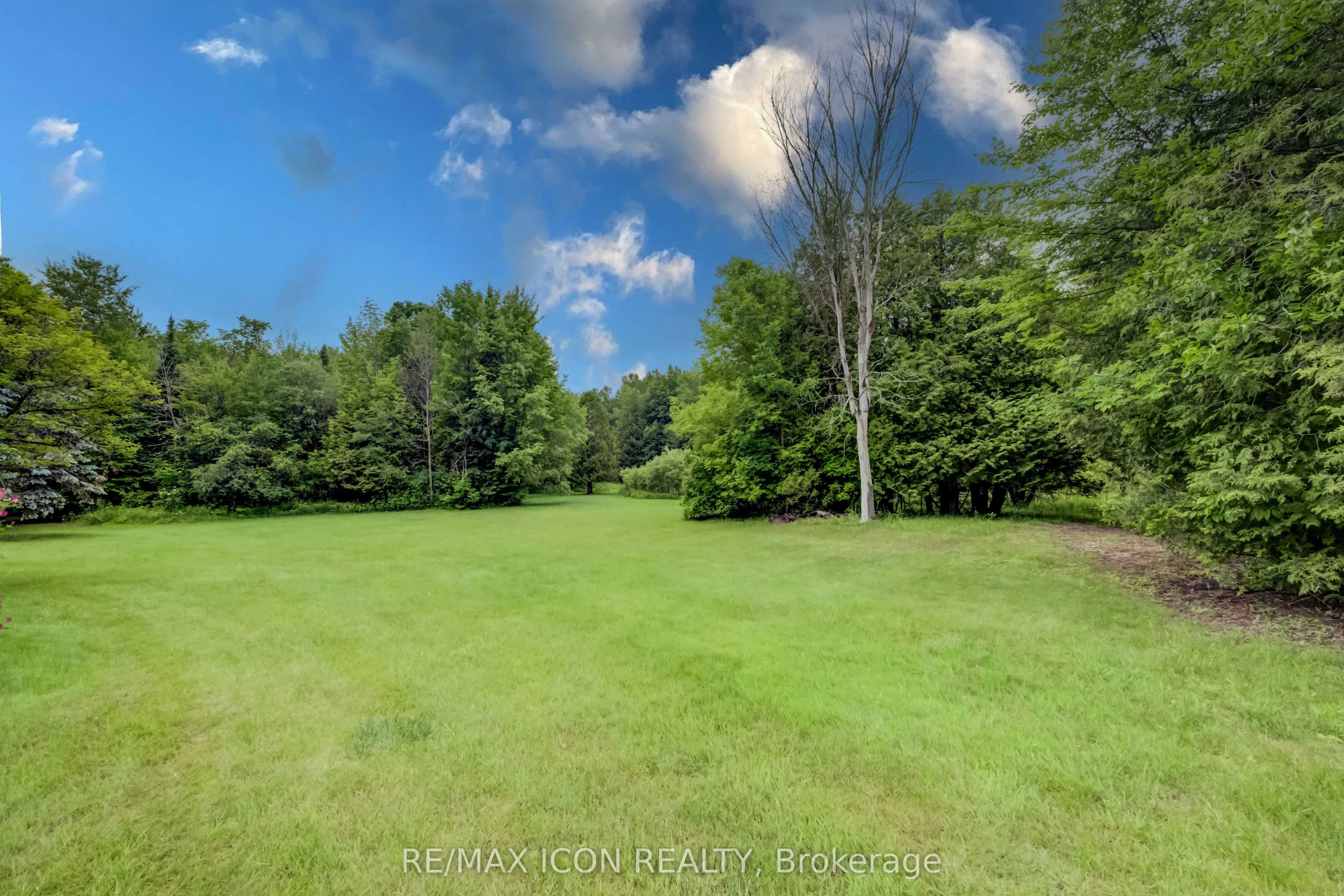 7298 8 Side Road W