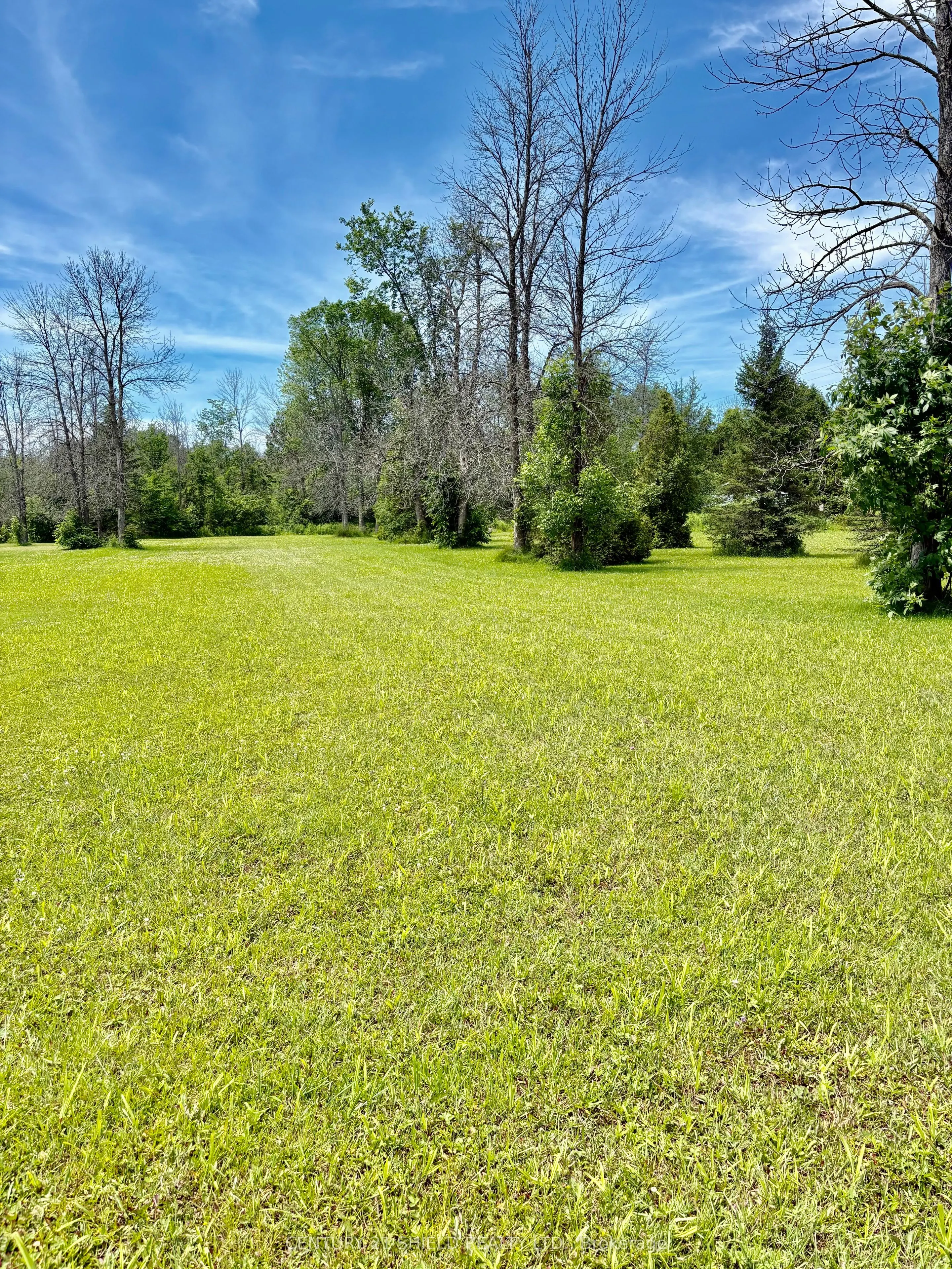 0000 Dafoe Road