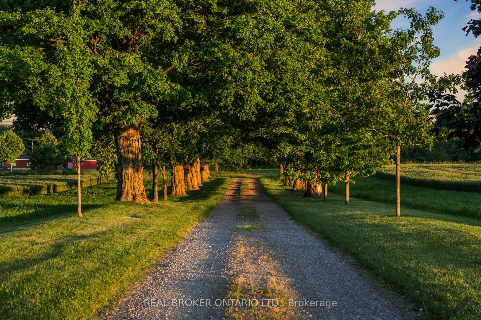 99 County road 18 Road