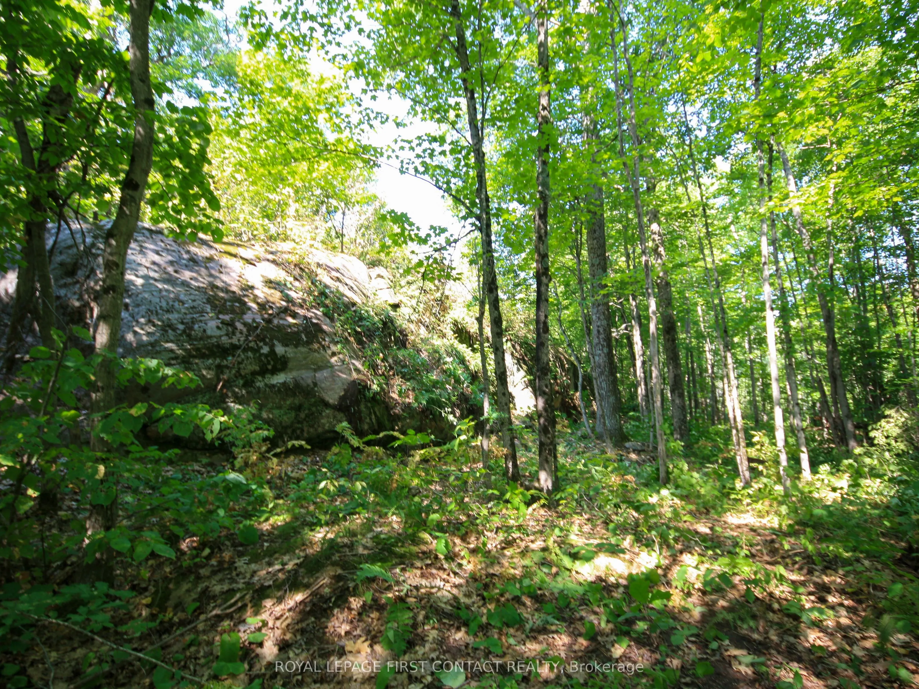 213 Birch Acres Drive