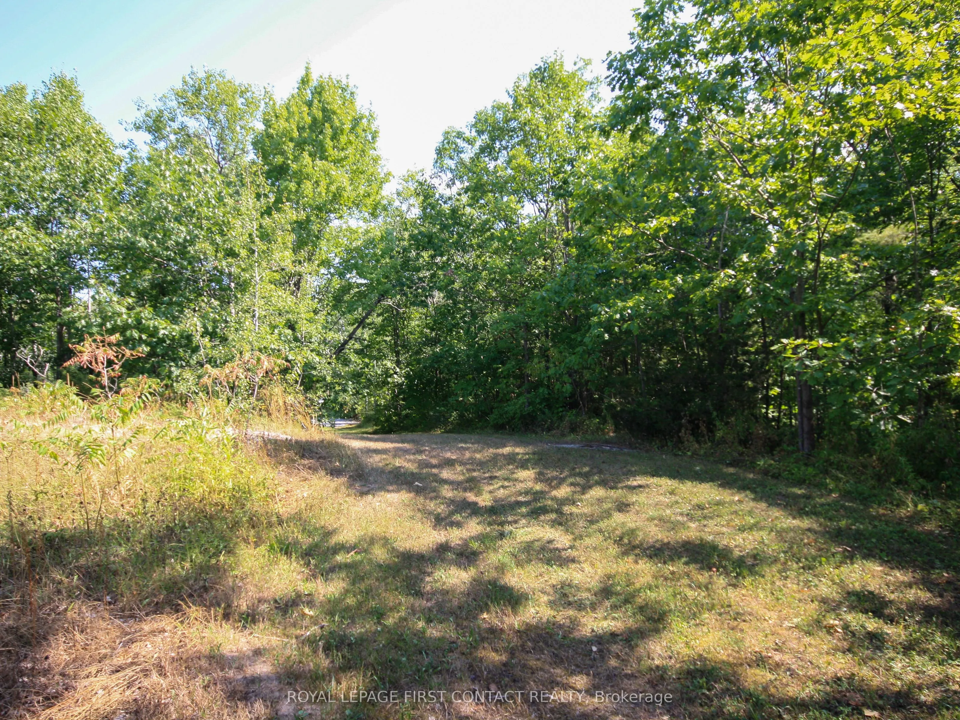 213 Birch Acres Drive