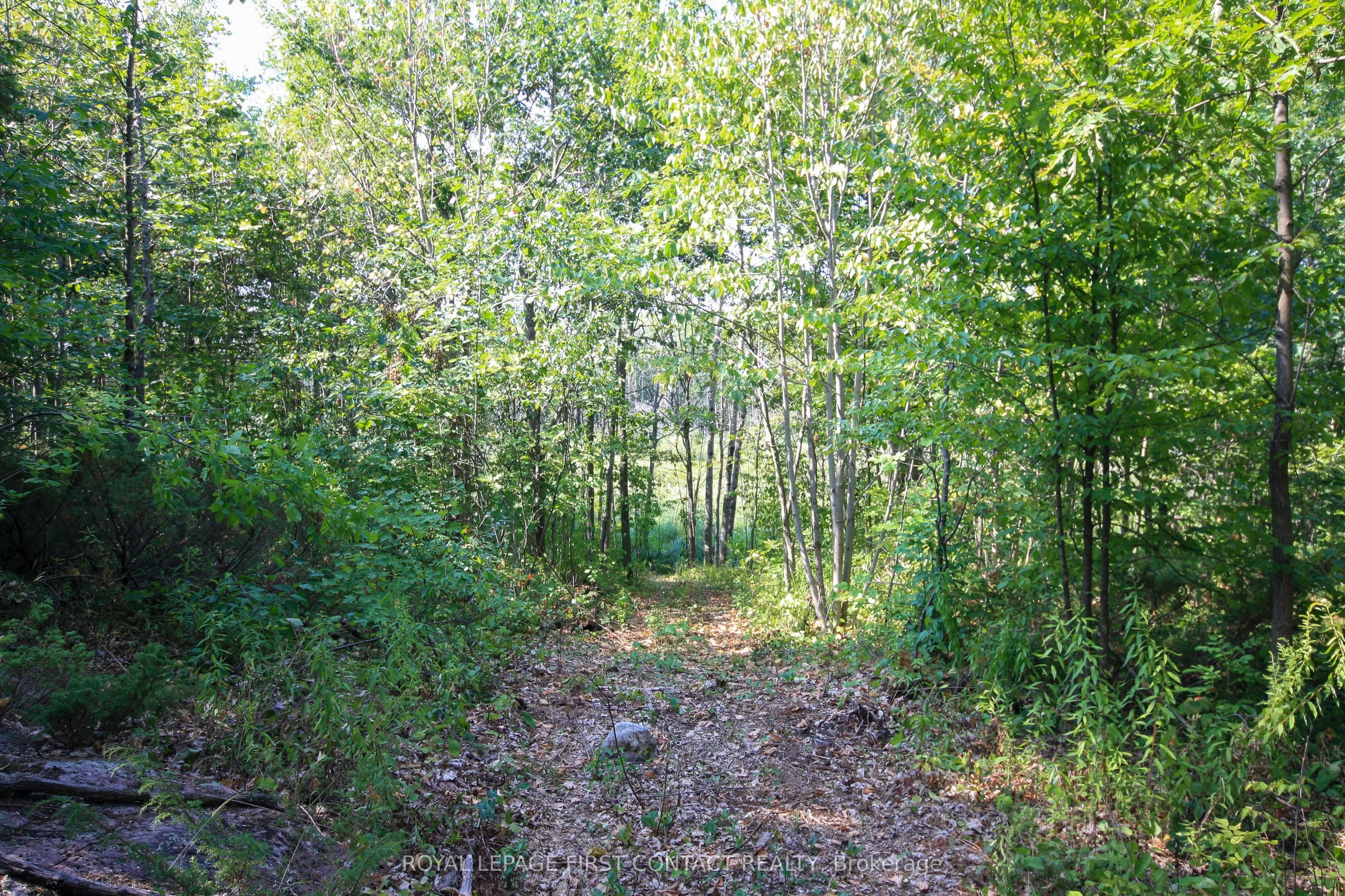 213 Birch Acres Drive