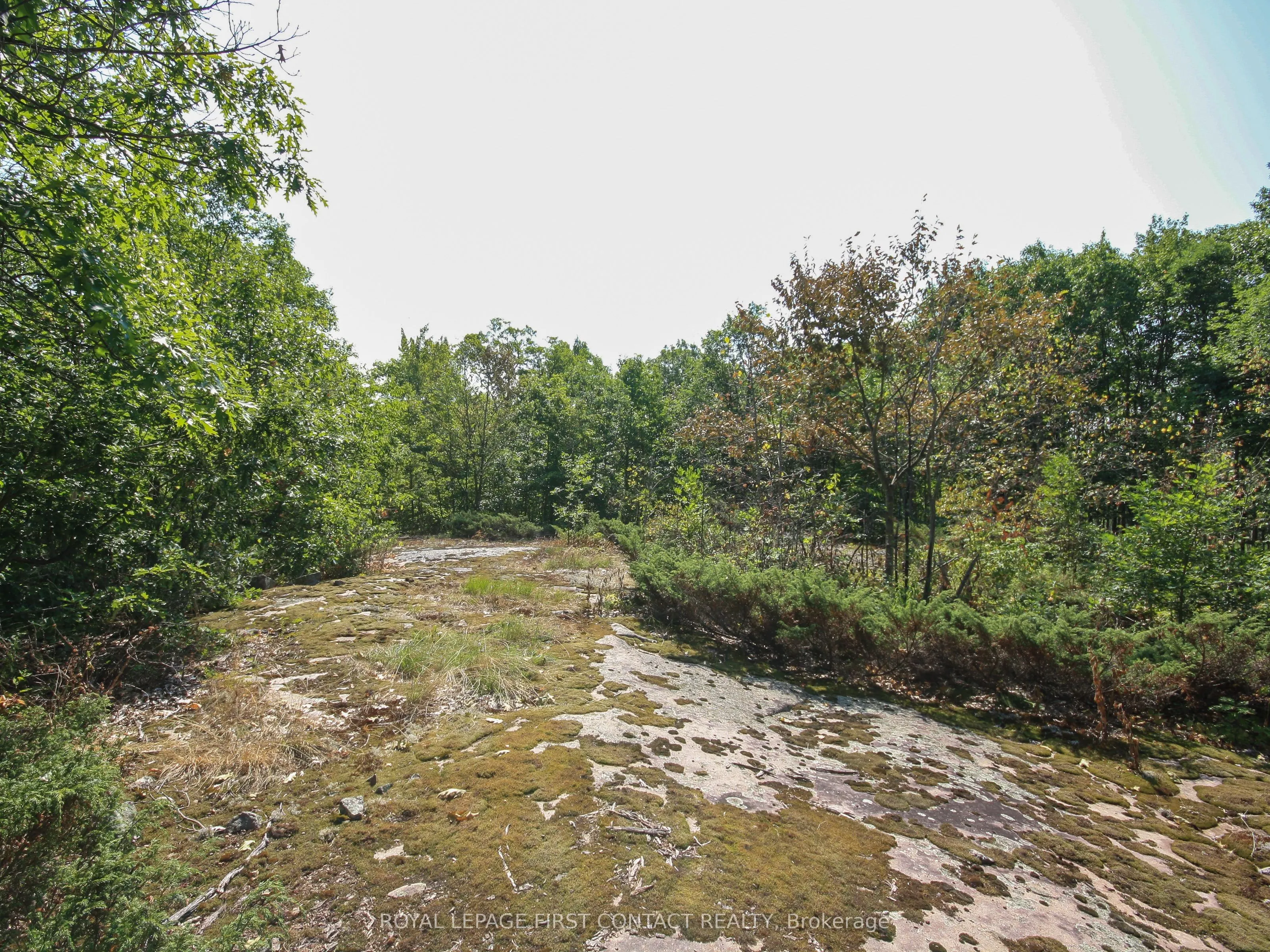 213 Birch Acres Drive